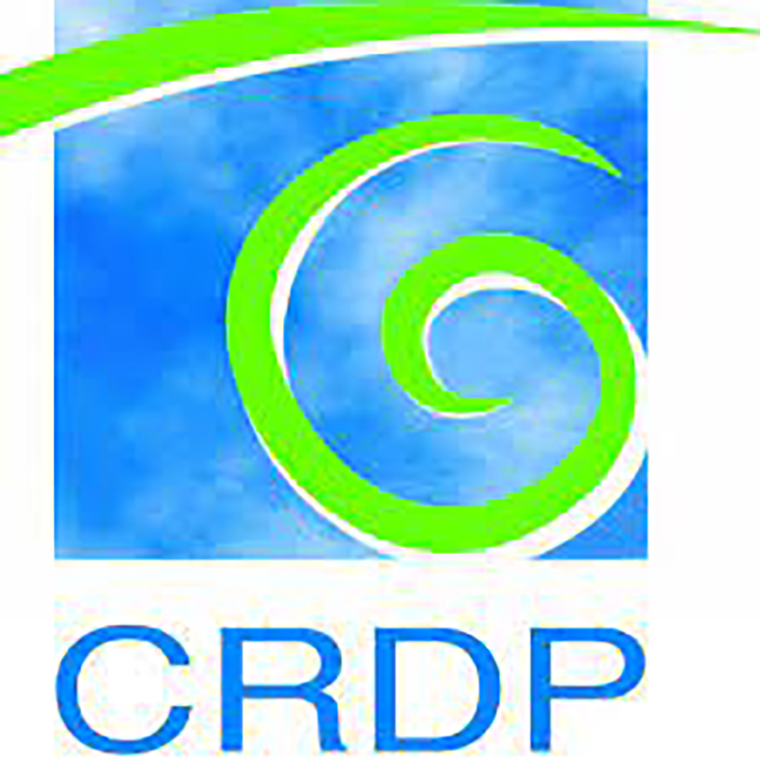 Digital Learning Initiative – Center for Educational Research and Development